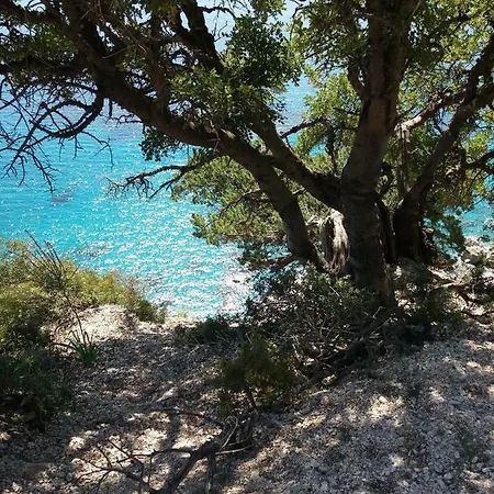 Tortoli' Centro Casa Indipendente Tortolì